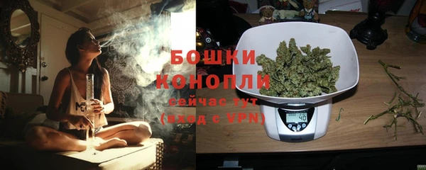 прущий лед Козловка