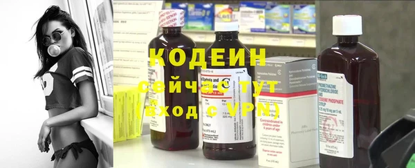 первитин Каменка