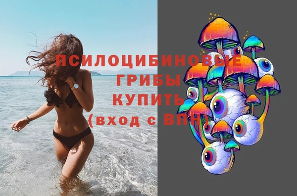 a pvp Касимов
