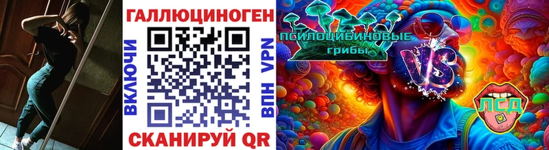 закладка  Касли  Псилоцибиновые грибы Cubensis 